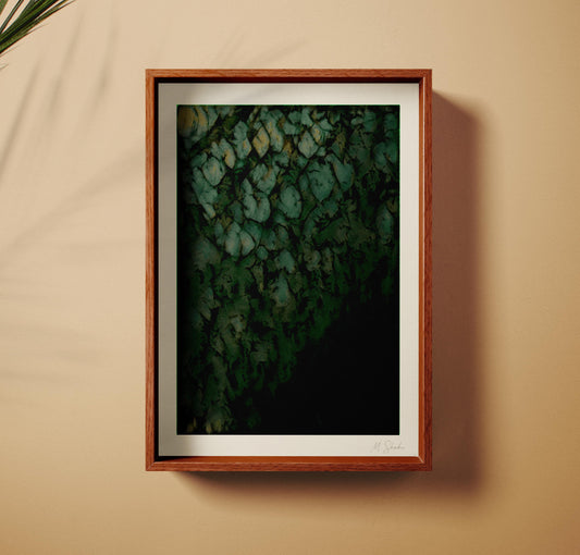 Ivyfall Botanical Abstract Art Print: Mid-Century Modern, Green and Black Wall Art