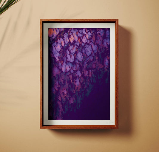 Mid-Century Violet Ivy Botanical Art Print: Giclée Fine Wall  Art